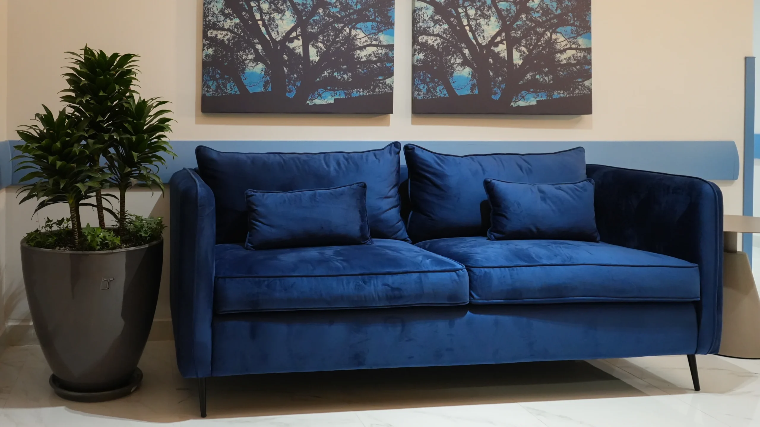 11-sillon
