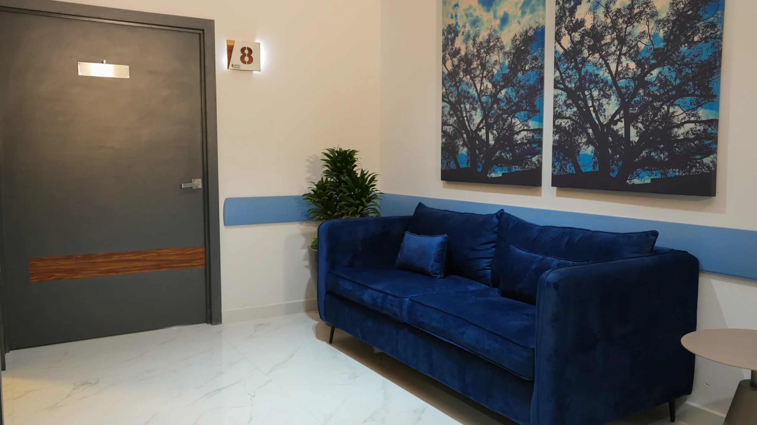 12-sillon